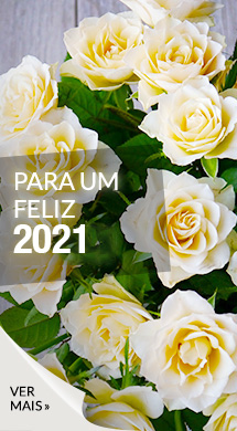 Flores para celebrar a passagem de ano!
