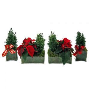 Composição Decorativa de Natal I