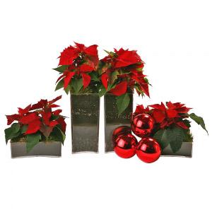 Composição Decorativa de Natal III