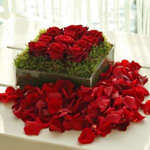 Mar de Rosas