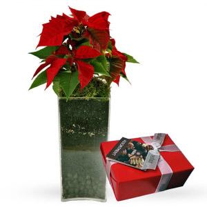 Jarra de Natal + Chocolates