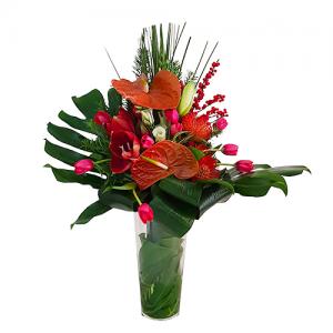 Jarra de Flores de Natal Premium