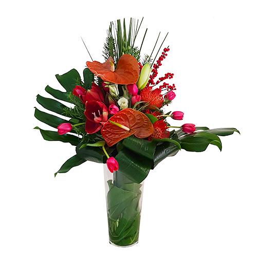 Jarra de Flores de Natal Premium