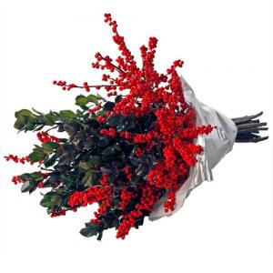 Molho de Ilex Verde e Ilex Encarnado